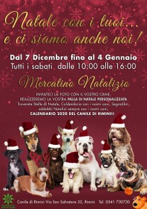 canile natale