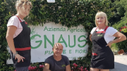 La Gnaus del Friuli per la TIN di Rimini