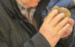 Tartufo Bianco Pregiato