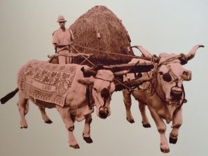 Tele color ruggine a Montescudo - Monte Colombo