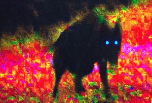 Tutto brucia, nuovo spettacolo per i Motus