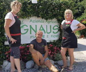 La Gnaus del Friuli per la TIN di Rimini